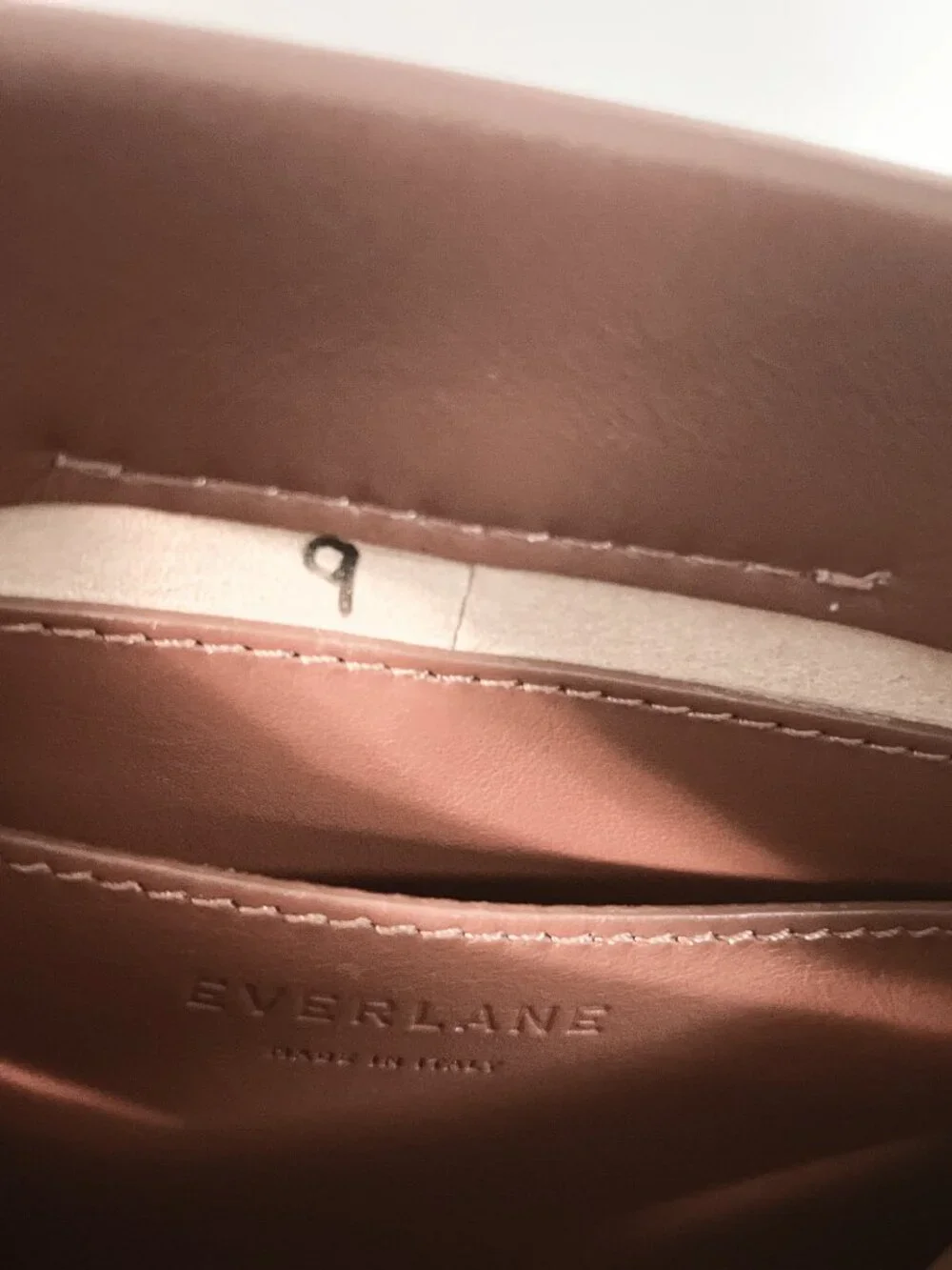 Everlane The Form Mini Bag Crossbody Cognac Brown